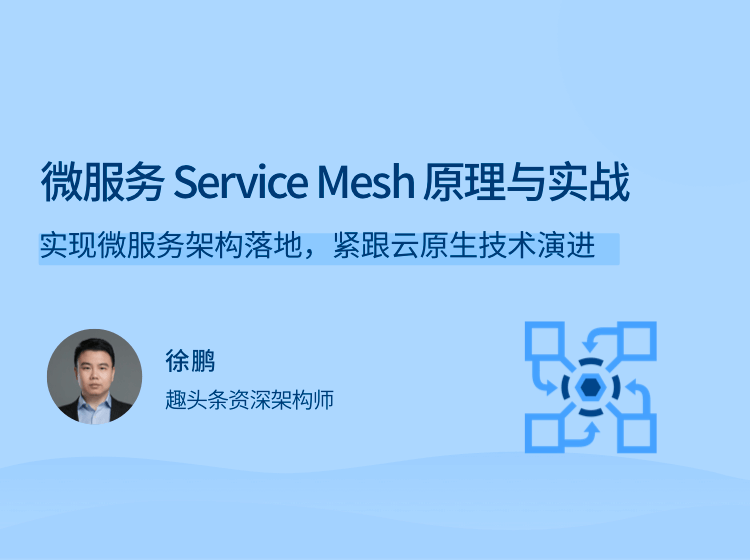 图片[1]-微服务Service Mesh原理与实战课程资源百度网盘下载-大萝卜学堂